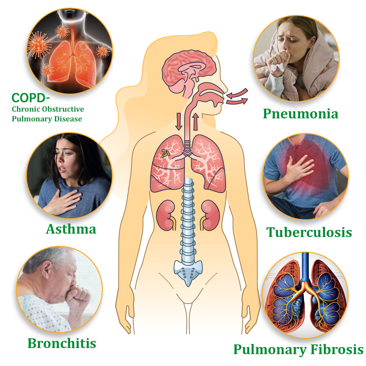 Cvreoz® Mullein Herbal Lung Purifier 5 Cvreoz® Mullein Herbal Lung Purifier