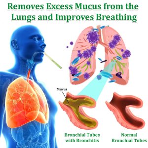 Cvreoz® Mullein Herbal Lung Purifier 10 Cvreoz® Mullein Herbal Lung Purifier
