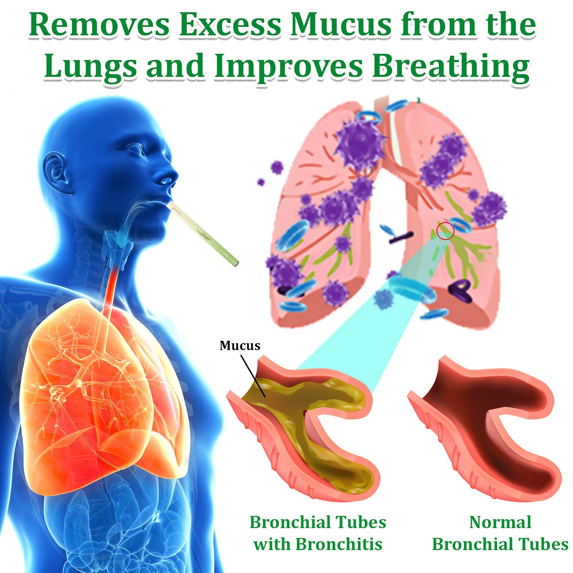 Cvreoz® Mullein Herbal Lung Purifier 2 Cvreoz® Mullein Herbal Lung Purifier