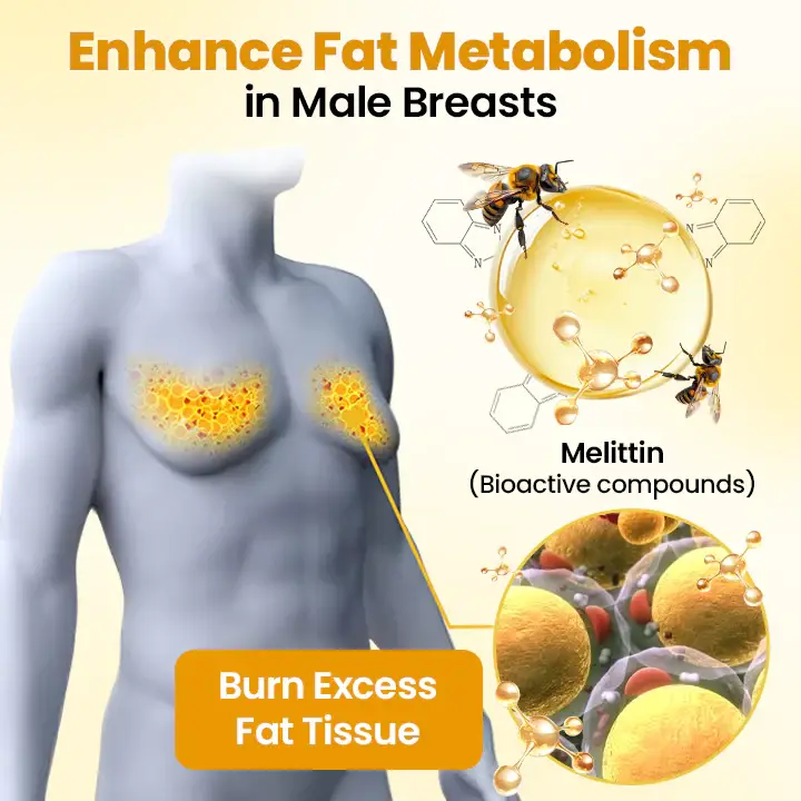 GFOUK™ ThermoFirm Bee Venom Gynecomastia-Oil image GFOUK™ ThermoFirm Bee Venom Gynecomastia-Oil