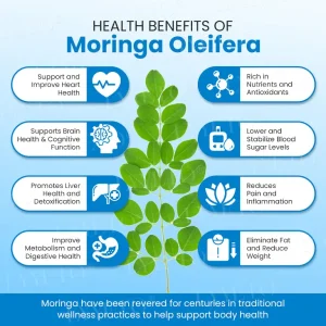 Lyyeto® GLP-1 Slimming & Health SlimFusion Vitality Core Pearls – NAD+ Moringa & ACV