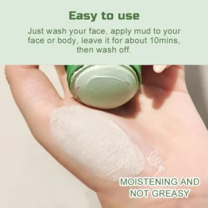 Diystar™ Green Tea Purifying Clay Mask Stick