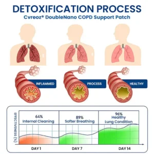 Zvoevo® DoubleNano COPD Relief Patch image Zvoevo® DoubleNano COPD Relief Patch