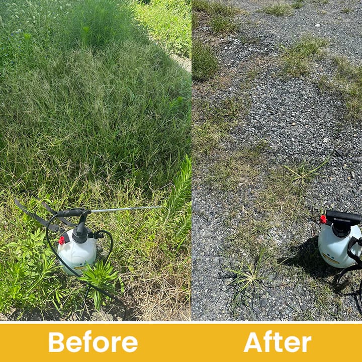 LIMETOW® Glufosinate Ammonium Salt Herbicide Agent