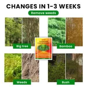 QIAWI® Cyclosinone Herbicide Granules image QIAWI® Cyclosinone Herbicide Granules