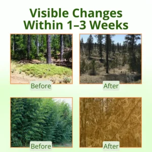 AEXZR® Cyclosinone Herbicide Granules image AEXZR® Cyclosinone Herbicide Granules