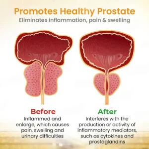 LOVILDS™ Bee Detox Prostate Care Patch image LOVILDS™ Bee Detox Prostate Care Patch