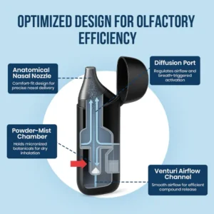 DAFEILA® FreshLoom Cognitive Regeneration Inhaler image DAFEILA® FreshLoom Cognitive Regeneration Inhaler
