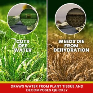 LIMETOW® Weed Killer Spray image LIMETOW® Weed Killer Spray