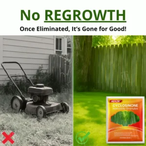 AEXZR® Cyclosinone Herbicide Granules image AEXZR® Cyclosinone Herbicide Granules