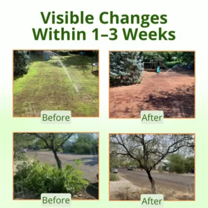 AEXZR® Cyclosinone Herbicide Granules image AEXZR® Cyclosinone Herbicide Granules