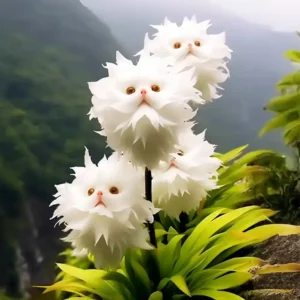 GFOUK® Charming Blossom Seeds