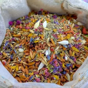 GFOUK® Charming Blossom Seeds