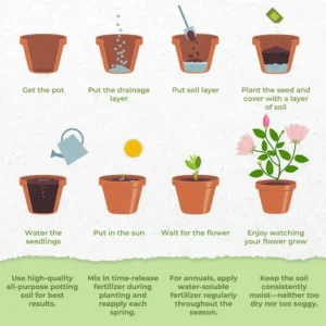 GFOUK® Charming Blossom Seeds