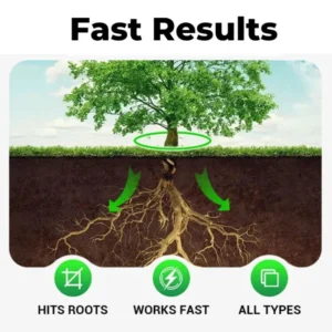 Cyclosinone Herbicide Granules 500gm