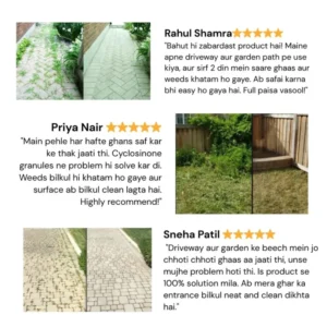 Cyclosinone Herbicide Granules 500gm
