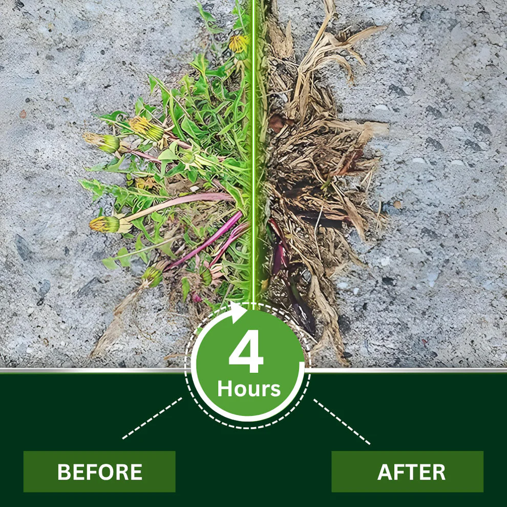 Cvreoz® 2-in-1 Weed Killer | Same-Day Results & Kills Roundup-Resistant Weeds image Cvreoz® 2-in-1 Weed Killer | Same-Day Results & Kills Roundup-Resistant Weeds