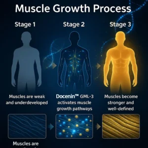 Docenin™ GML-3 Six-in-One Muscle Growth Oral Solution image Docenin™ GML-3 Six-in-One Muscle Growth Oral Solution