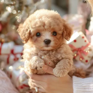 Everyone's Falling in Love With These Puppy Toys 8 Everyone's Falling in Love With These Puppy Toys