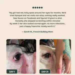 Nuvon QuickHeal Spray