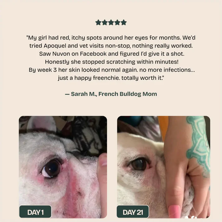 Nuvon QuickHeal Spray