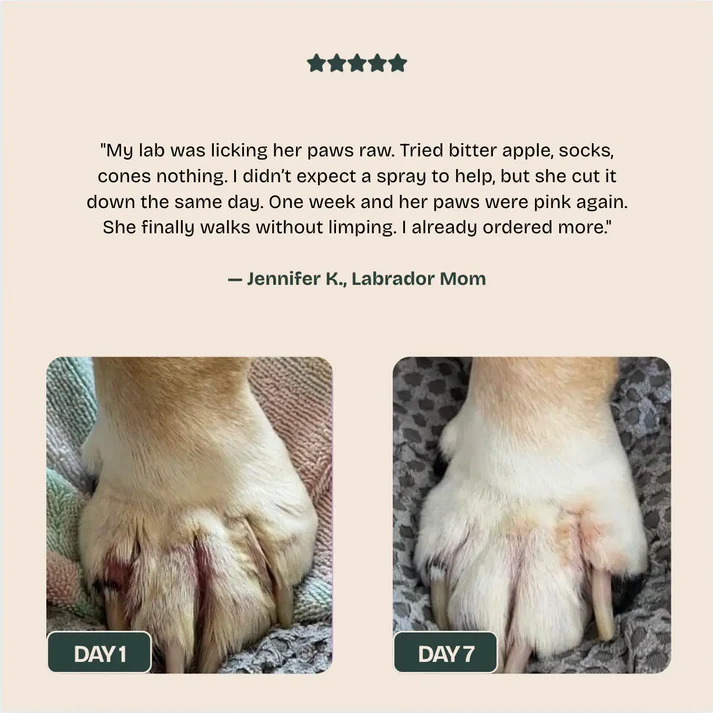 Nuvon QuickHeal Spray