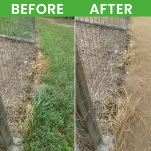 LIMETOW® Root Rot Powder