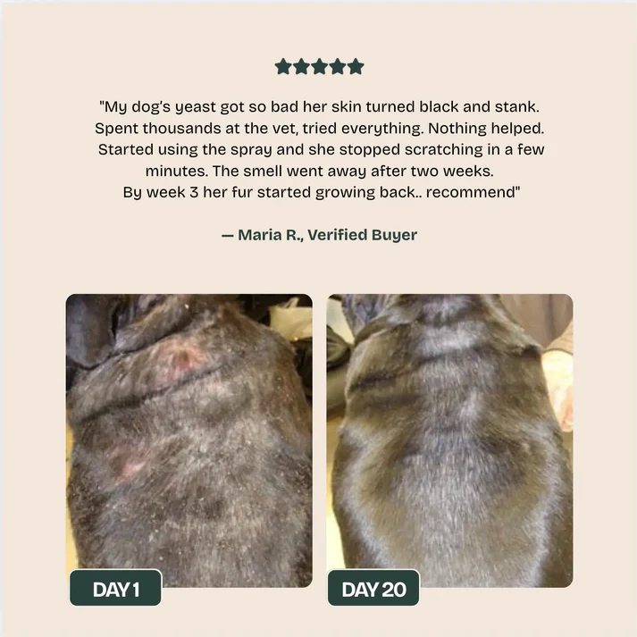 Nuvon QuickHeal Spray