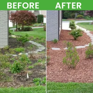 LIMETOW® Root Rot Powder