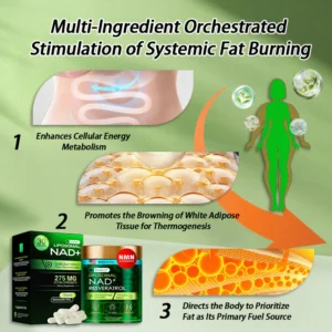 ® Liposomal NAD+ Resveratrol Capsule Supplement image ® Liposomal NAD+ Resveratrol Capsule Supplement