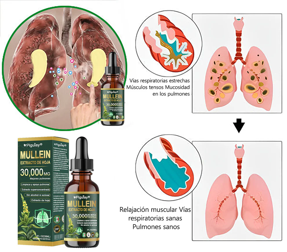 Piguiay® Organic Extract of Gordolob's House for Pulmonar Cleaning - Image 8