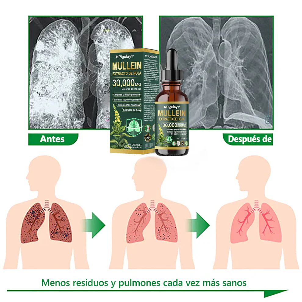 Piguiay® Organic Extract of Gordolob's House for Pulmonar Cleaning - Image 9