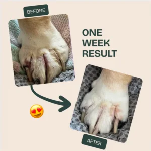 Nuvon QuickHeal Spray