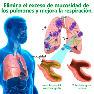 Piguiay® Organic Extract of Gordolob's House for Pulmonar Cleaning