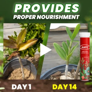 AAFQ Organic Fertilizer Tablets