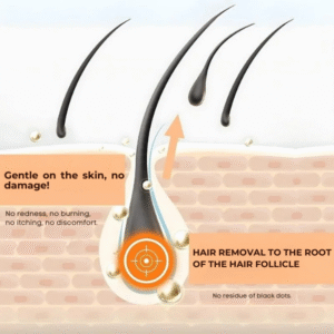Elycura™ | Stop 97% of hormonal hair growth at the root in just 4 days!