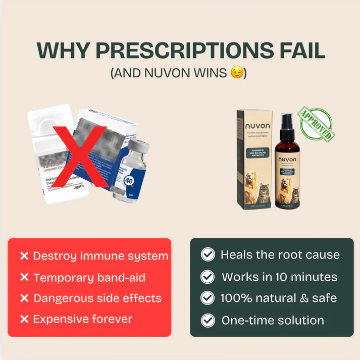 Nuvon QuickHeal Spray