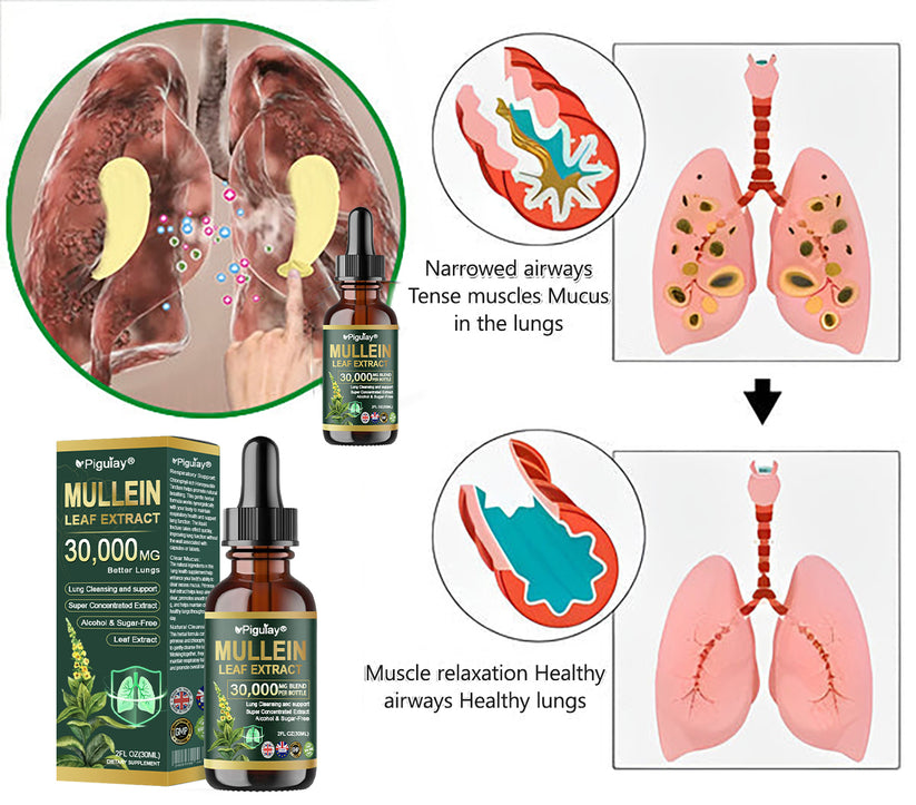 Piguiay® Organic Lung Cleansing Mullein Leaf Extract Drops