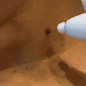 Bikenda™ Complete Set Bundle image Bikenda™ Complete Set Bundle