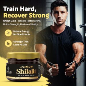 Shilajit Resin With 24K Gold Dust