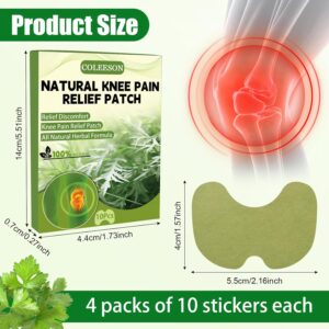 K-Patch™ - Natural Pain Relief Patches