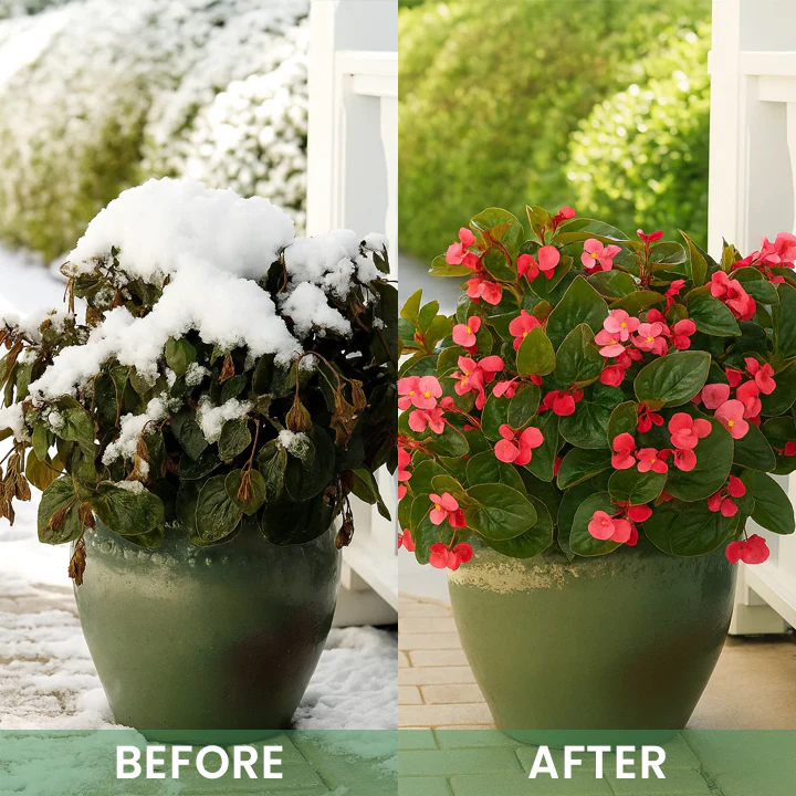 LIMETOW® Plant Antifrost Agent