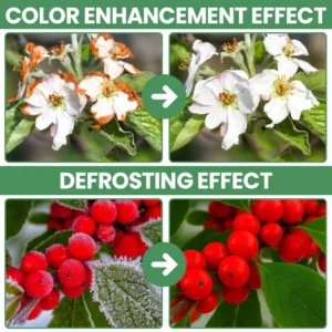 LIMETOW® Plant Antifrost Agent