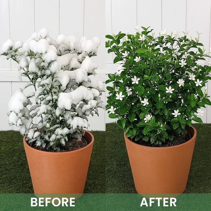 LIMETOW® Plant Antifrost Agent