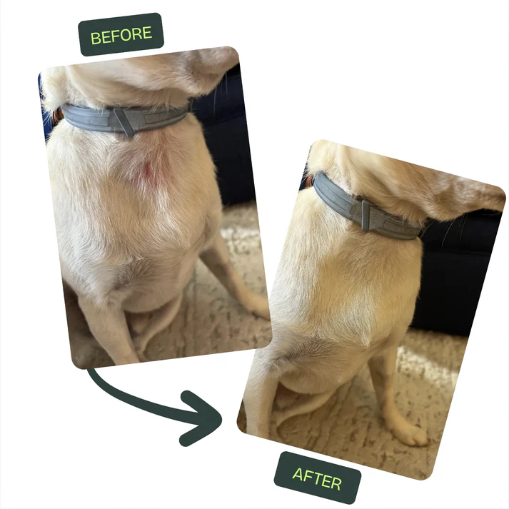 Nuvon QuickHeal Spray