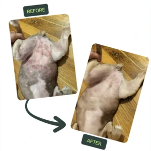 Nuvon QuickHeal Spray