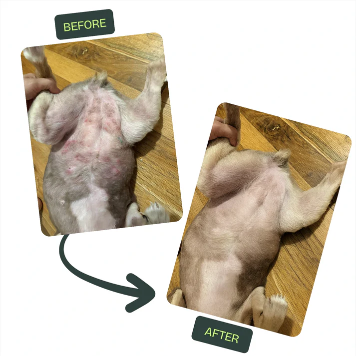 Nuvon QuickHeal Spray