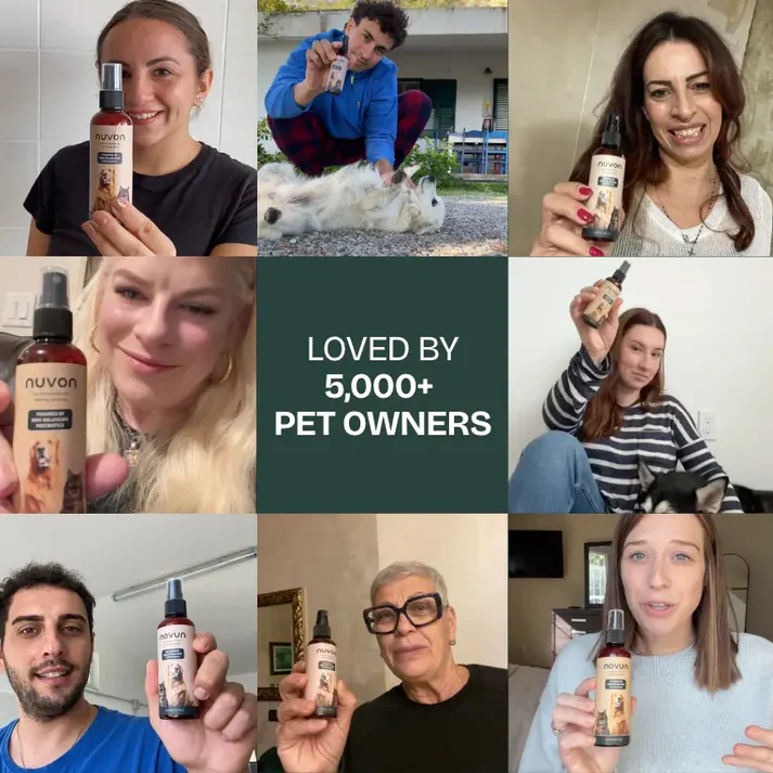 Nuvon QuickHeal Spray