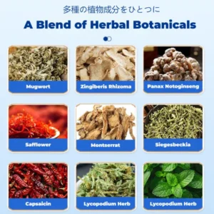 Skavix Japanese Pain Patch image Skavix Japanese Pain Patch