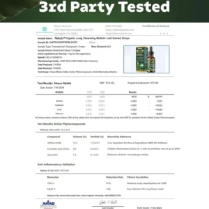 GFOUK® NAC + Mullein Lung Detox Drops image GFOUK® NAC + Mullein Lung Detox Drops